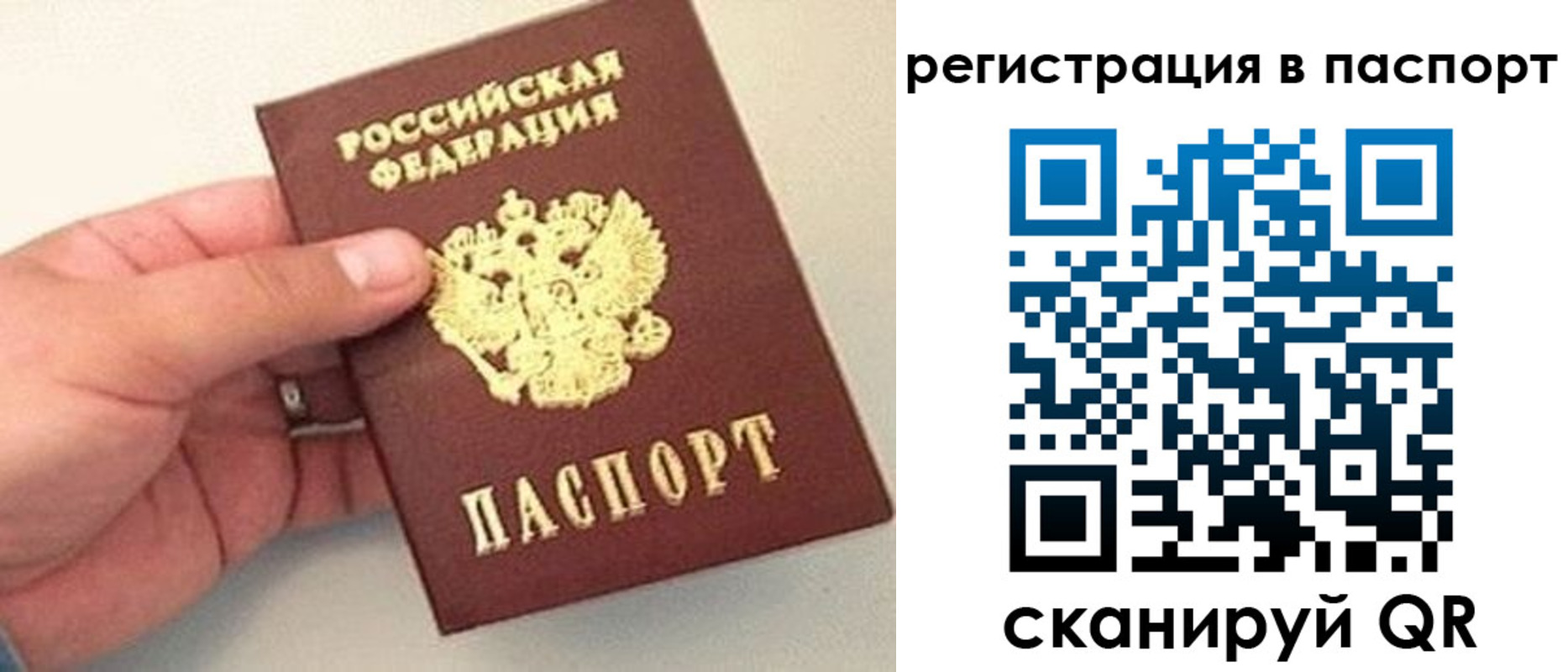 прописка законно в Талице